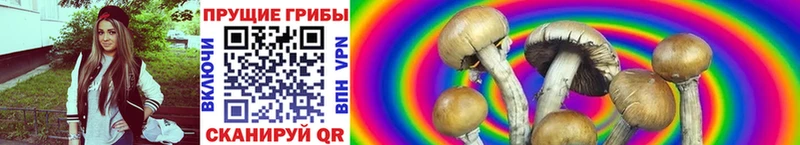 Псилоцибиновые грибы MAGIC MUSHROOMS  Купить где  Миллерово 